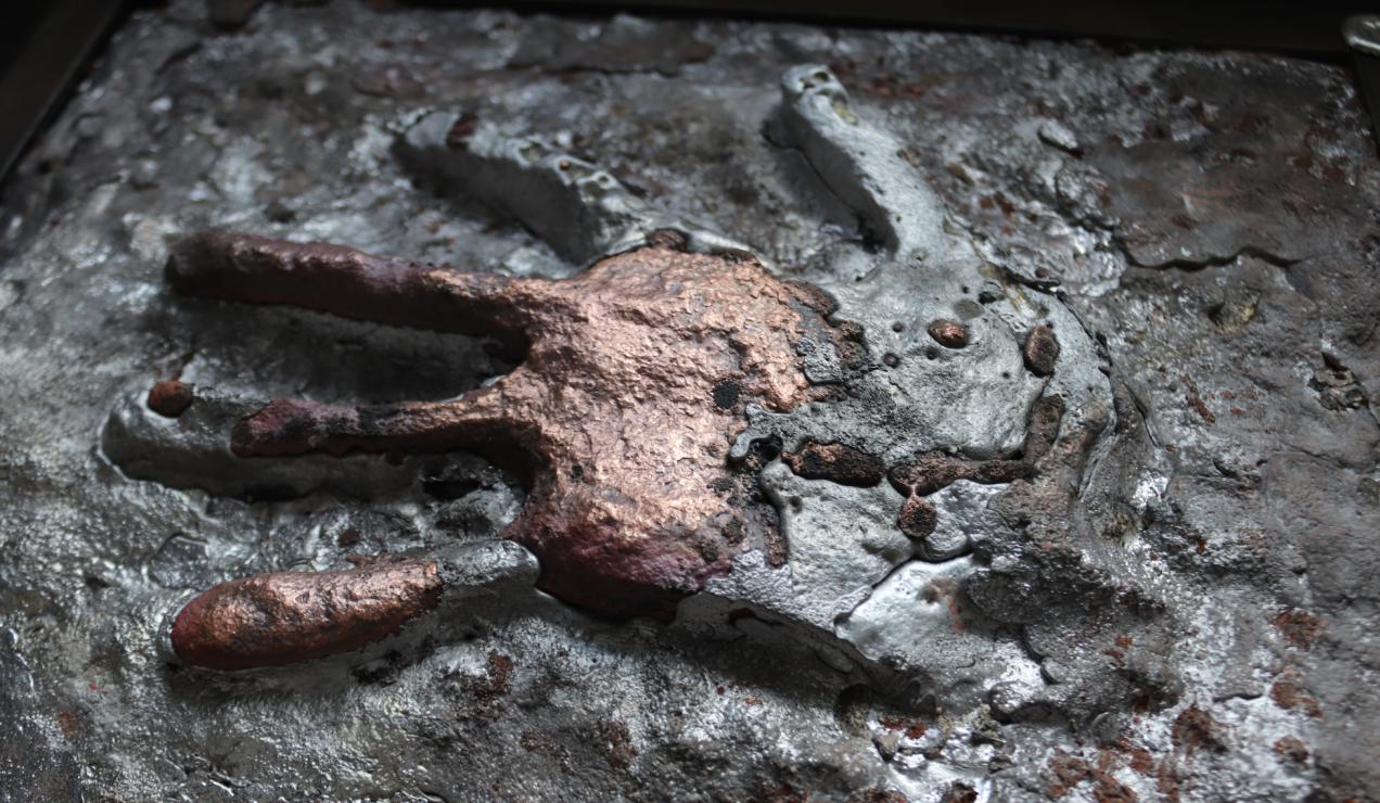 “Fossil handprint“